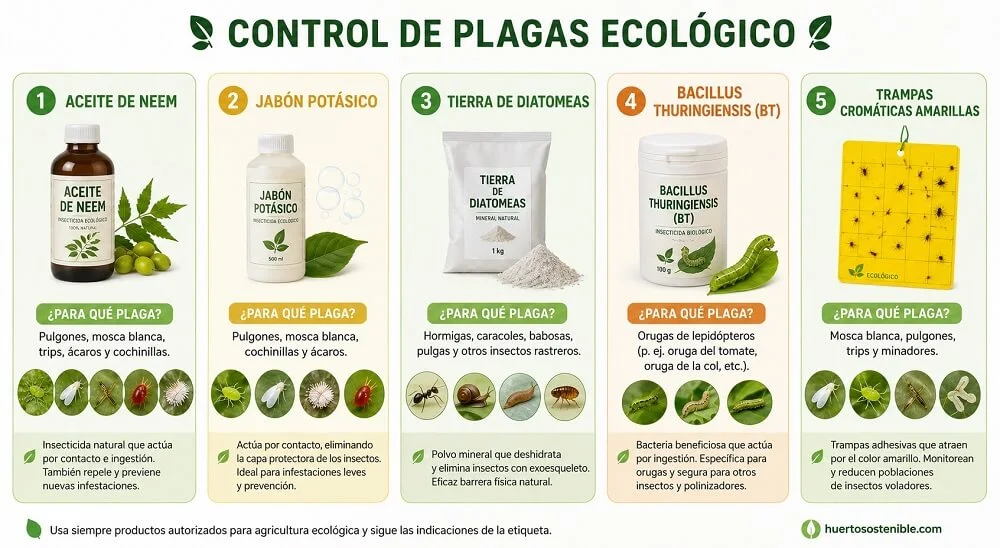 control-de-plagas-ecológico Productos ecológicos para el control de plagas en el huerto