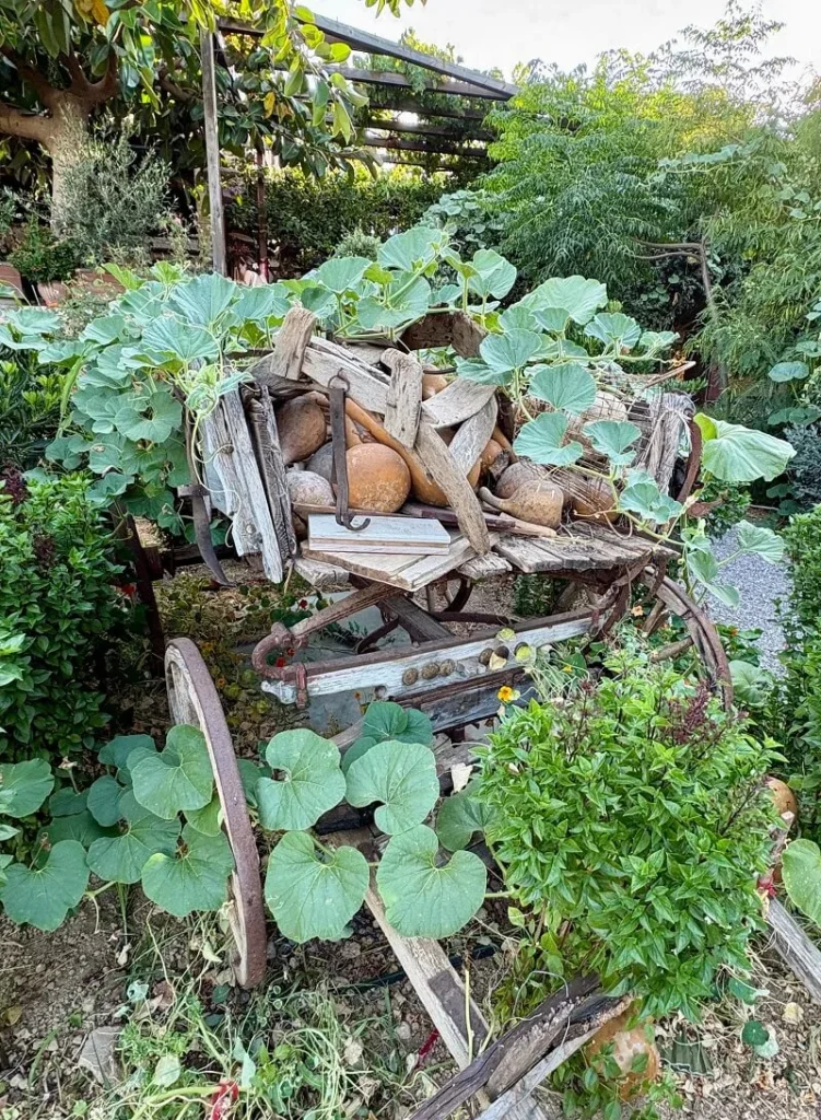 jardín rústico con carros antiguos cargados de calabazas en 'garden bar'